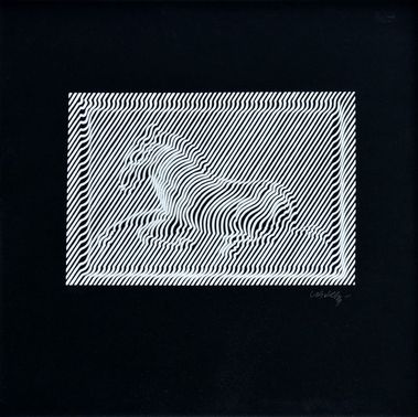 Uháňajúca zebra II.