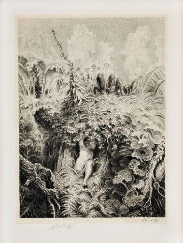 Nymfa