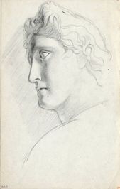 (Folio) Skice antickej sochy