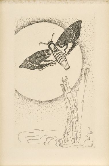 Ilustrácia ku knihe K. H. Máchu 