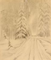 Lesná cesta v zime