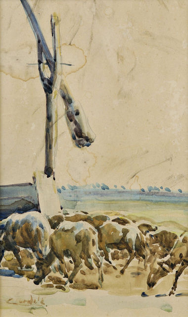 Stádo pri napájadle