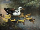 Kačky na vode (podľa A. Koestera)
