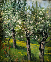 Kvitnúca čerešňa