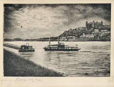 Bratislava od Petržalky