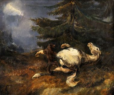 Zápas koňa s vlkom