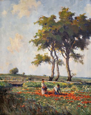 Zbieranie divých makov