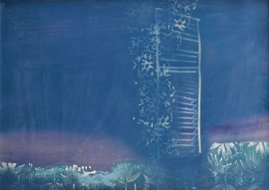 Biela okenica (Z cyklu Tropické pásmo)