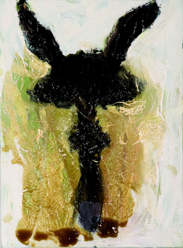 Veľmi plodná huba.