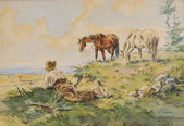 Pastier kráv