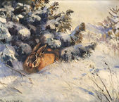 Zajac v zime