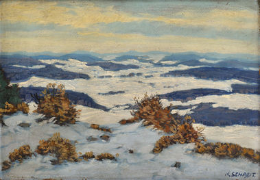 Zimná krajina