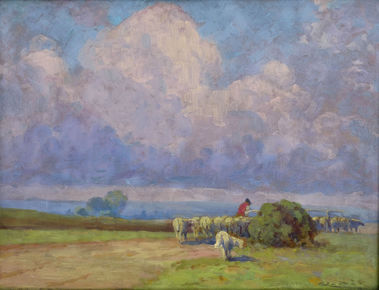 Letná nálada s ovcami