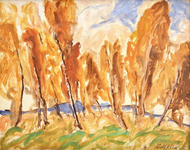 Jeseň pri Piešťanoch