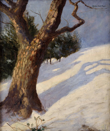 Na zasneženom svahu