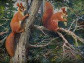 Veveričky