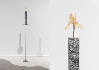 25. Iris Siberica 'Blue king' III