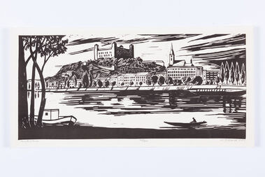 Bratislava od Petržalky